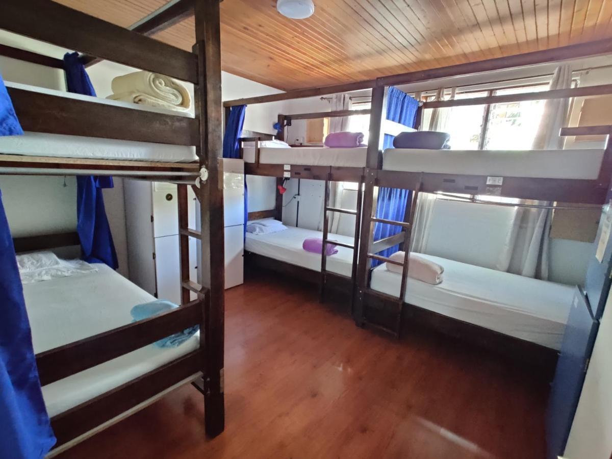 Tripon Open House Hostel Σαν Χοσέ Εξωτερικό φωτογραφία